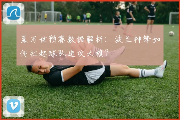 莱万世预赛数据解析:波兰神锋如何扛起球队进攻大旗?